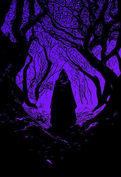 The music pack's picture